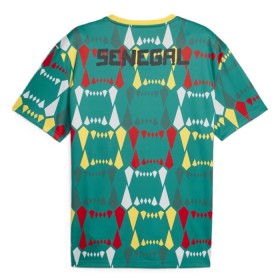 Senegal Koti 2023-24 - Jalkapallo Pelipaidat (S/S)